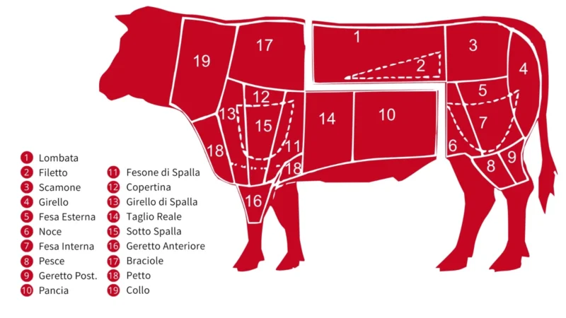 i tagli del bovino