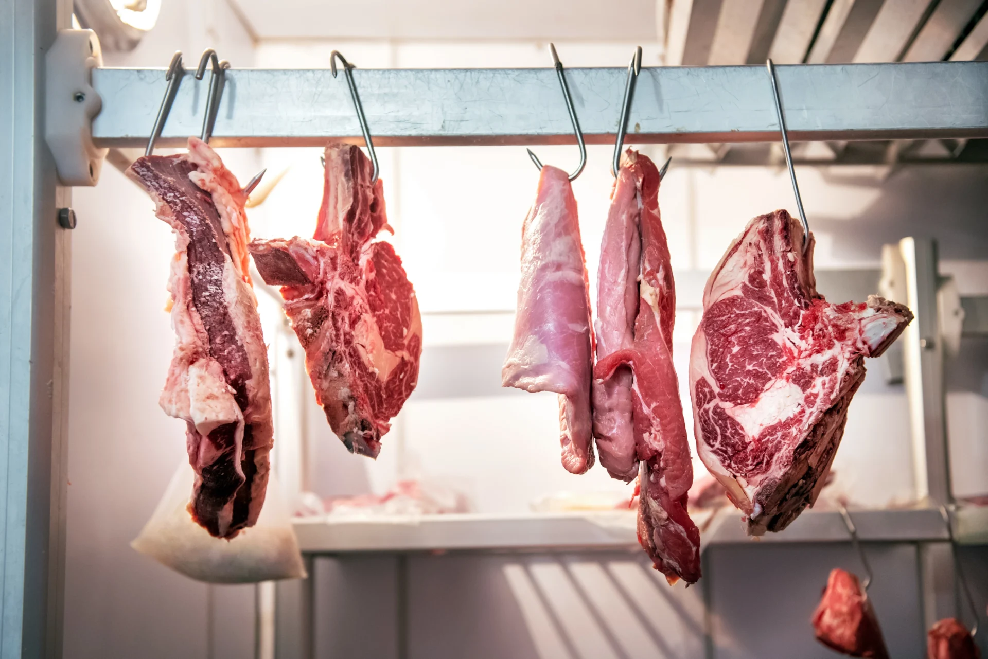 Carne appesa per frollatura — Accademia Macelleria Italiana